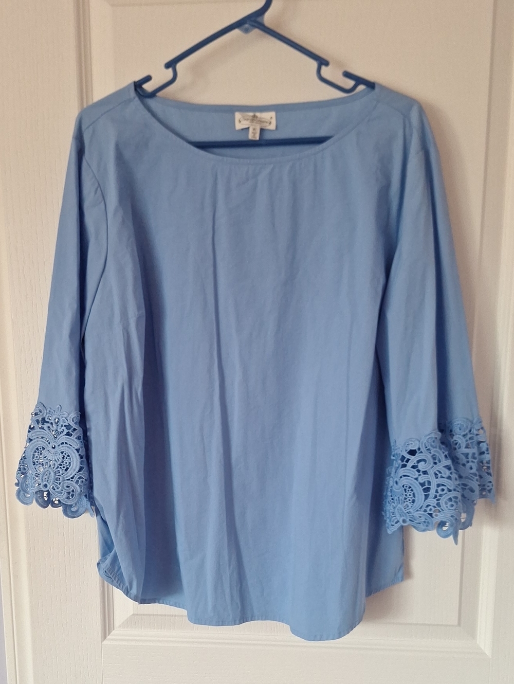 Grand & Greene Light Blue Lace-Sleeve Boatneck Tunic